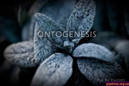 Quirom - Ontogenesis