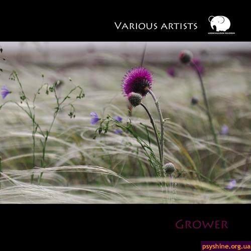 VA "Grower" (Lookinglook Records, 2010)